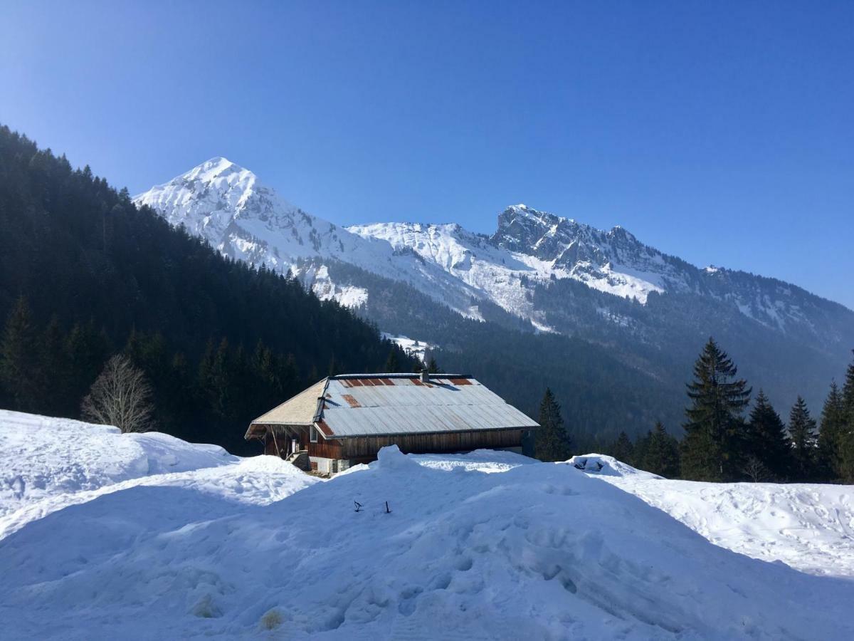 Chalet Marmotte 2 Morzine Dış mekan fotoğraf