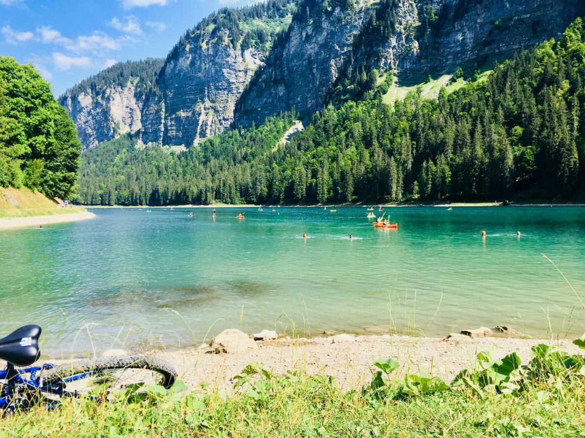 Chalet Marmotte 2 Morzine Dış mekan fotoğraf