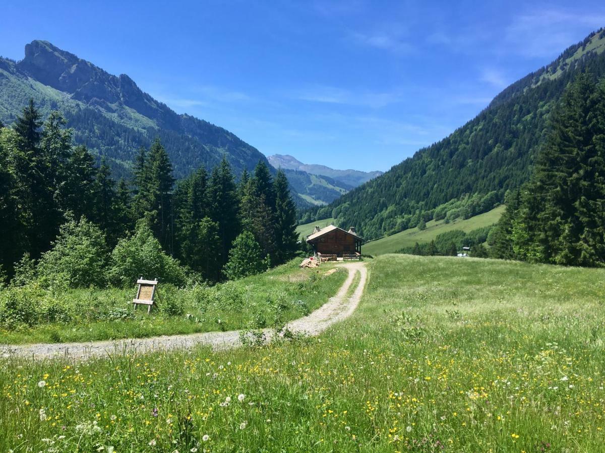 Chalet Marmotte 2 Morzine Dış mekan fotoğraf