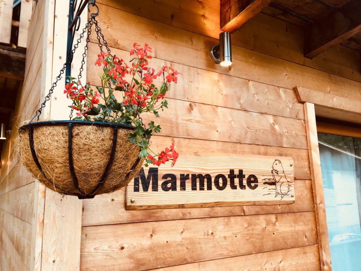 Chalet Marmotte 2 Morzine Dış mekan fotoğraf