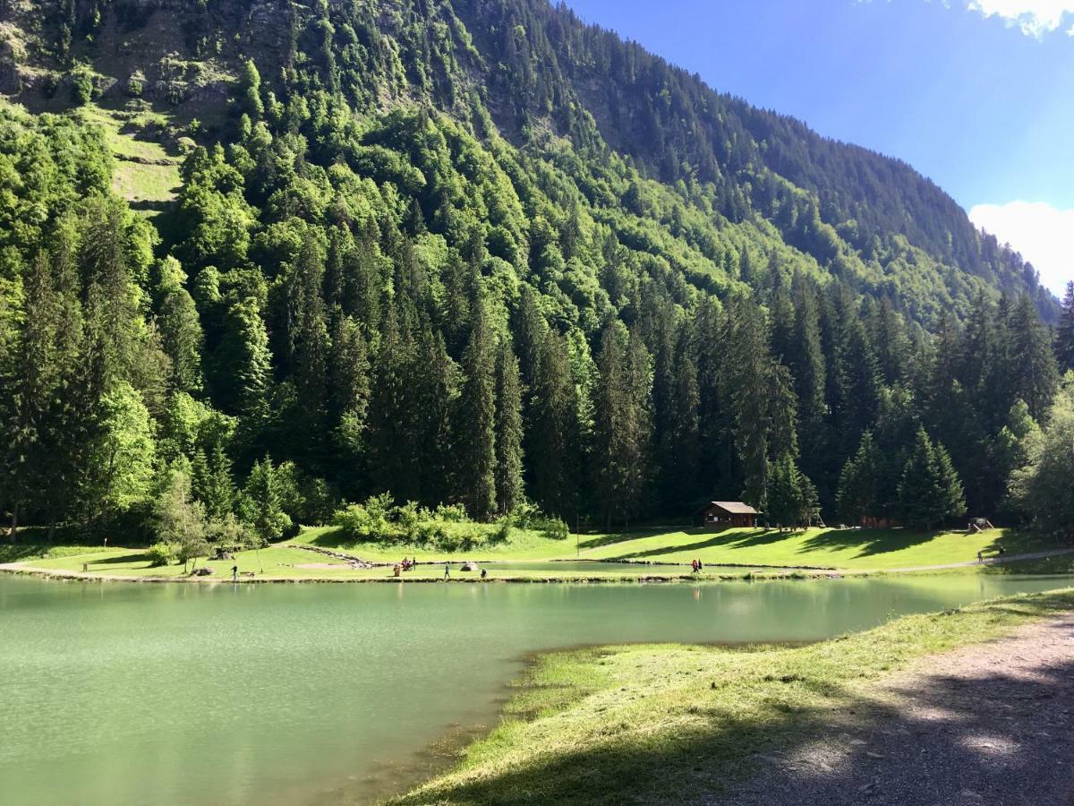 Chalet Marmotte 2 Morzine Dış mekan fotoğraf